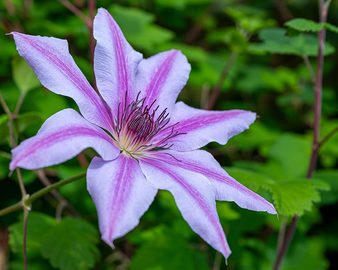 Blog 1