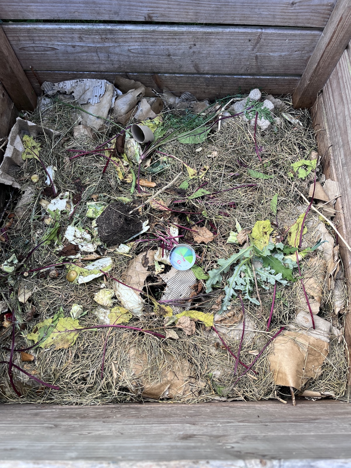 Composthoop in zelfgebouwde bak met thermometer om temperatuur van compost te meten