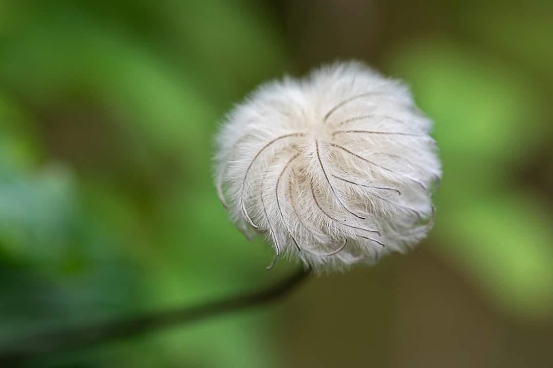 Blog 1