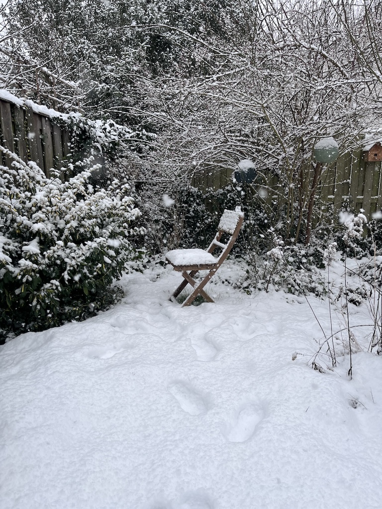 Besneeuwde tuin in Breda